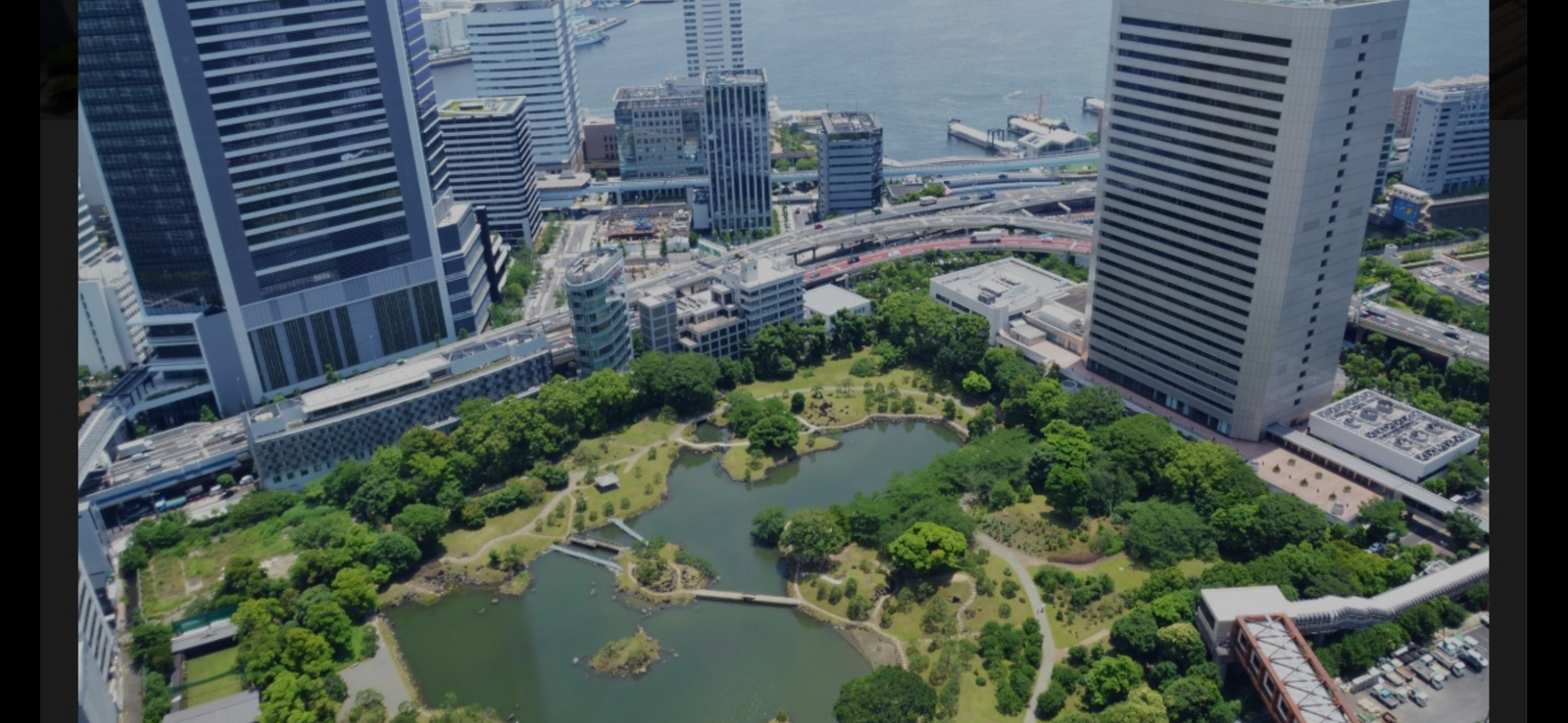 🌳芝離宮庭園でカメラ📷を使って撮影をしよう