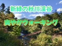 【秋川渓谷ウォーキング】新緑の中で心癒される自然散策🌿✨