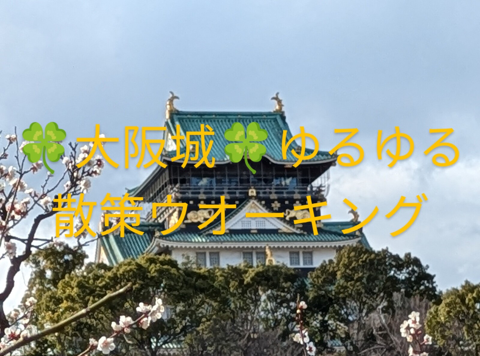 🏵️大阪城ゆるゆる散策ウォーキング