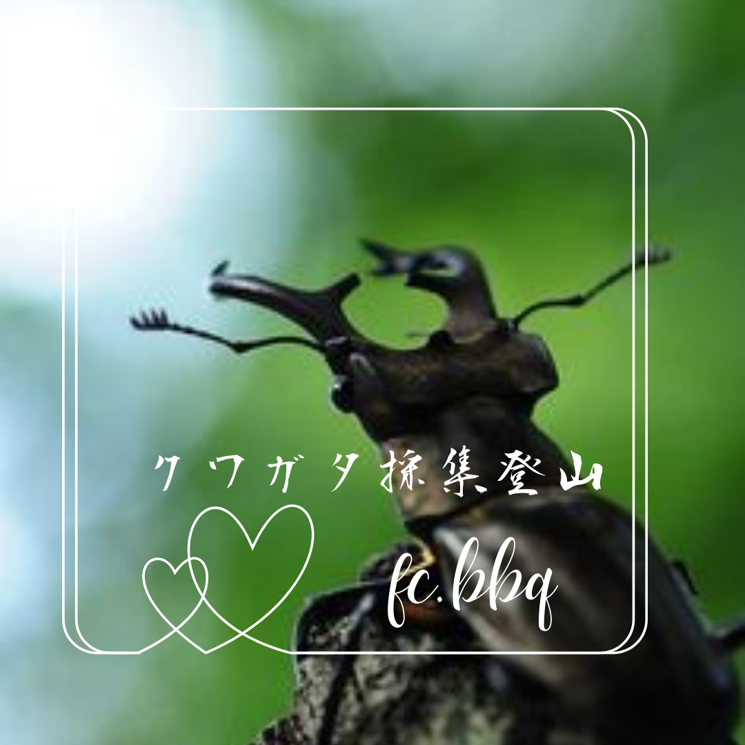 【３０、４０代アウトドア🌳愛好者限定】ミヤマクワガタ採り🪳登山と乾杯🍻