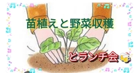 【40〜50代】さつまいもの苗植え体験🌿11月さつまいも掘り参加特典あり👍