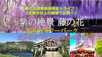 足利フラワーパーク 紫の絶景藤の花 ・常陸出雲大社・笠間稲荷神社・石切山脈 2企画分以上！？周遊するのでお得に春を満喫！