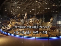 【30代中盤〜40代中心】上野の国立科学博物館見学&ランチ