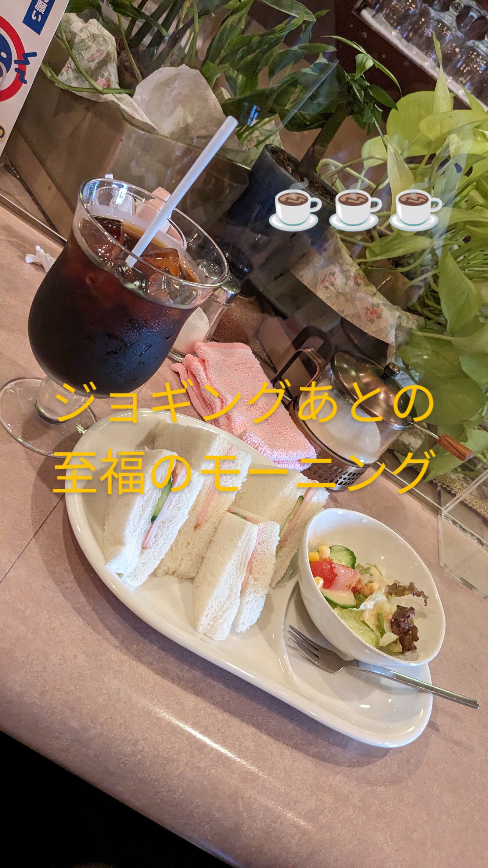 朝活ゆるゆる街ラン&Morning.毛馬水門〜城北運河コース
