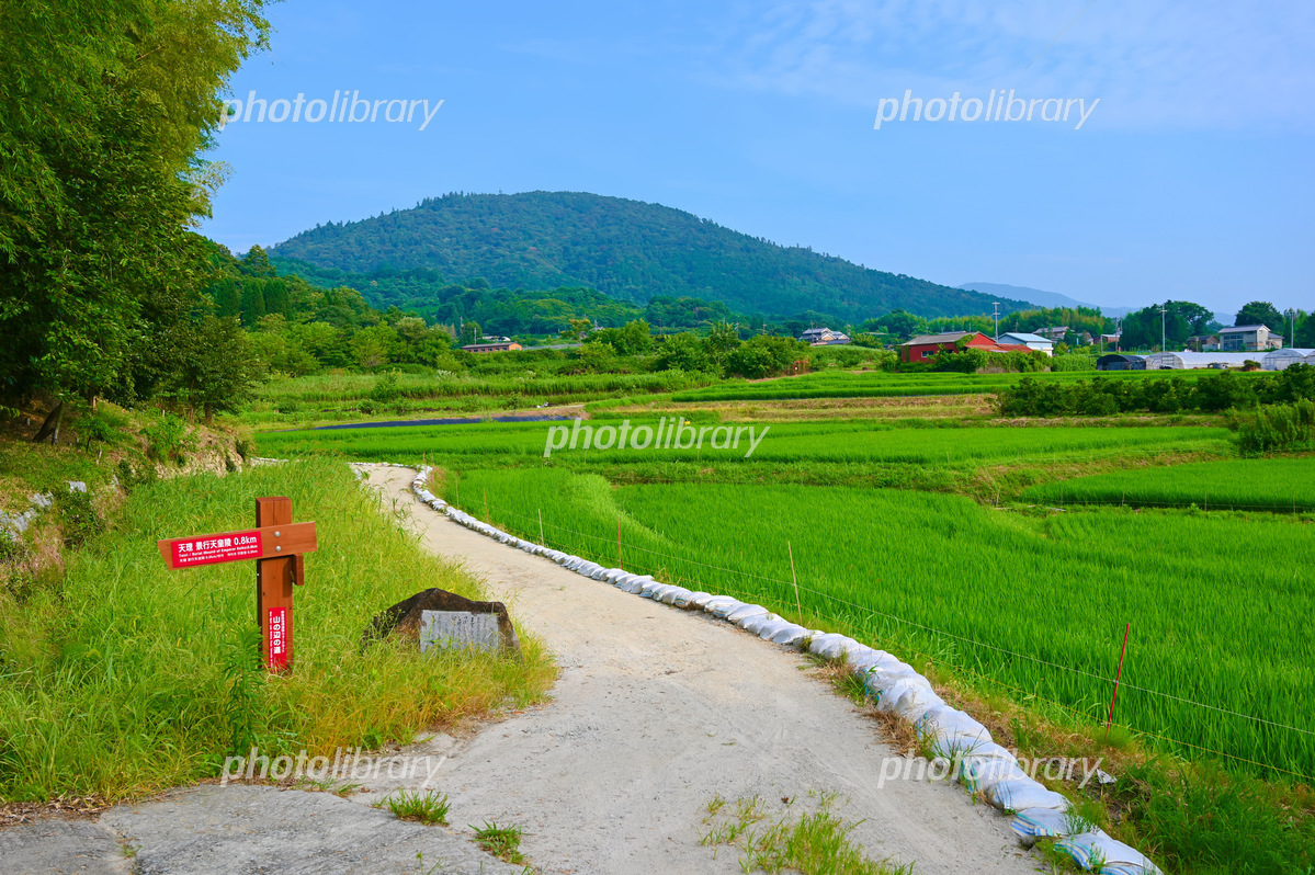神話と万葉の古道「奈良・山の辺の道」を歩こう！