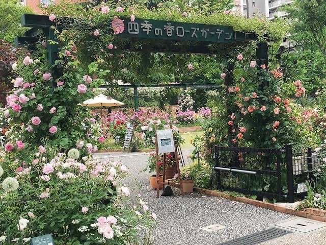 【光ヶ丘🌹四季の香ローズガーデン】20代30代限定！バラの香りに包まれる特別な一日✨