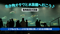 【葛西臨海水族園】生き物オタクと水族館へ行こう🐟 一緒に海の世界を覗いてみませんか？👀