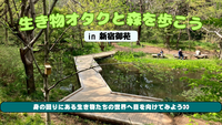 【新宿御苑】生き物オタクと森を歩こう🌳 身の回りにある小さな世界を一緒に感じてみよう✨