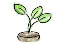 「会話に慣れたい…」コミュニケーションの部☆