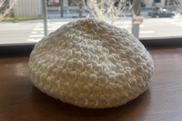 【女性限定】ピクニックしながら🧺外で一緒に鍵あみしませんか？🧶