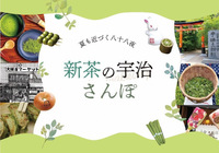 【5/18】京都さんぽ🌱新茶と新緑と宇治めぐり✨