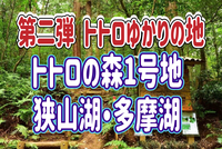 6/8  第二弾！トトロゆかりの地（トトロの森・神池・モニュメント）狭山湖・多摩湖をハイキングしよう！