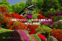 🌸満開のツツジと、心ほぐれる春さんぽ｜神木山 等覚院🌸