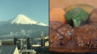 静岡名物のさわやかハンバーグ食べませんか？待ち時間に富士山も見たい！   29歳以下の人で！