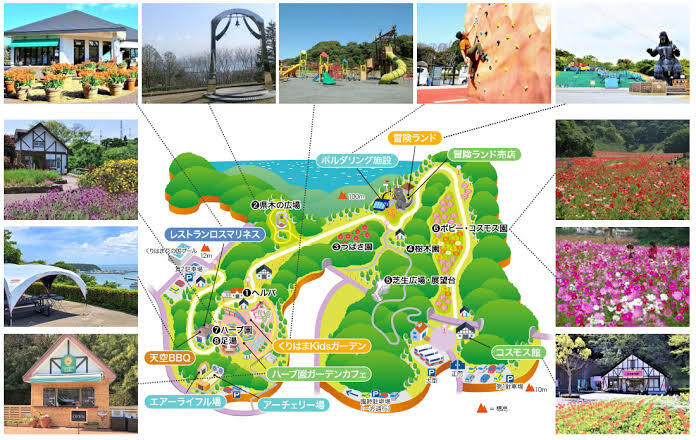 【参加費無料】ネモフィラやポピーが見頃のくりはま花の国を巡り巡る。