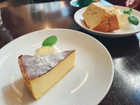 【女性主催】中目黒のオシャレな珈琲店に行こう！おすすめはバスクチーズケーキ🍋🌕🍠