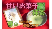 〜おちゃ部〜  甘いお菓子と抹茶を春のぽかぽか陽気の下で (茶道、野点)