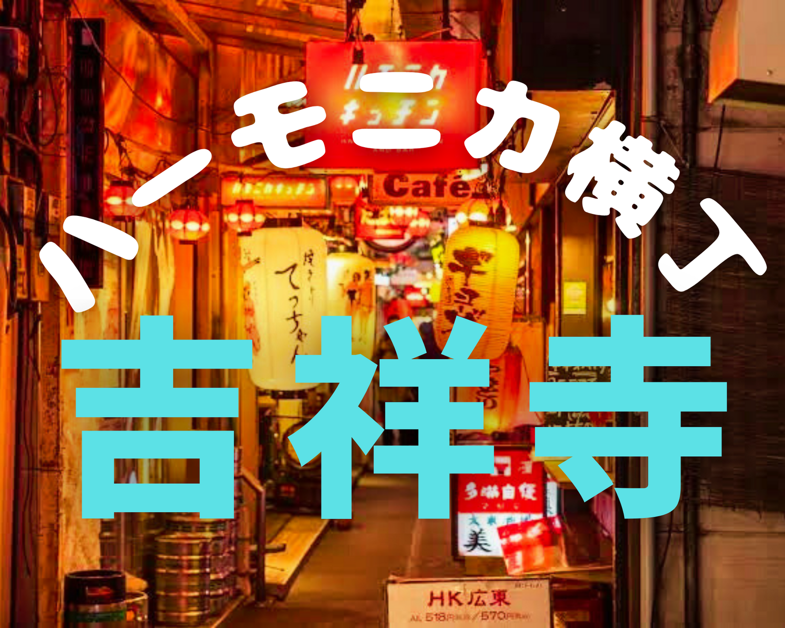 【平成カモ〜ん】吉祥寺❣️ハモニカ横丁で飲みませんか？🙋