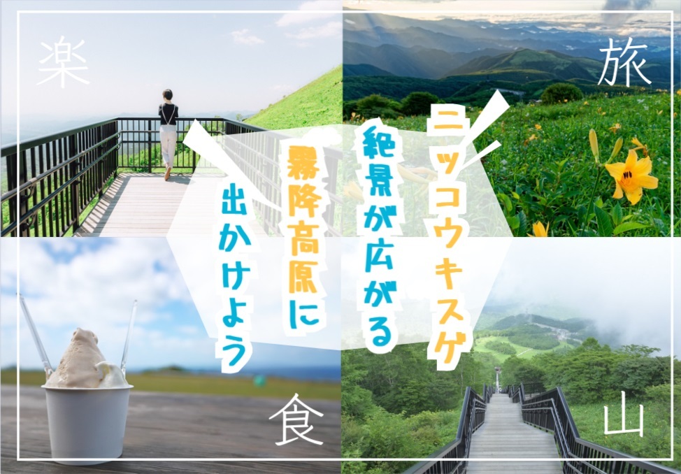 濃厚なソフトクリームとニッコウキスゲの霧降高原でハイキング