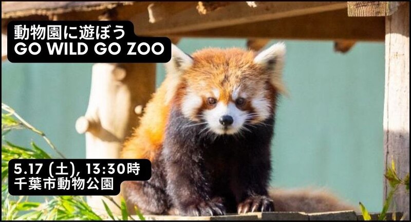 千葉動物公園アドベンチャー🐒🌿Chiba Zoo Adventure