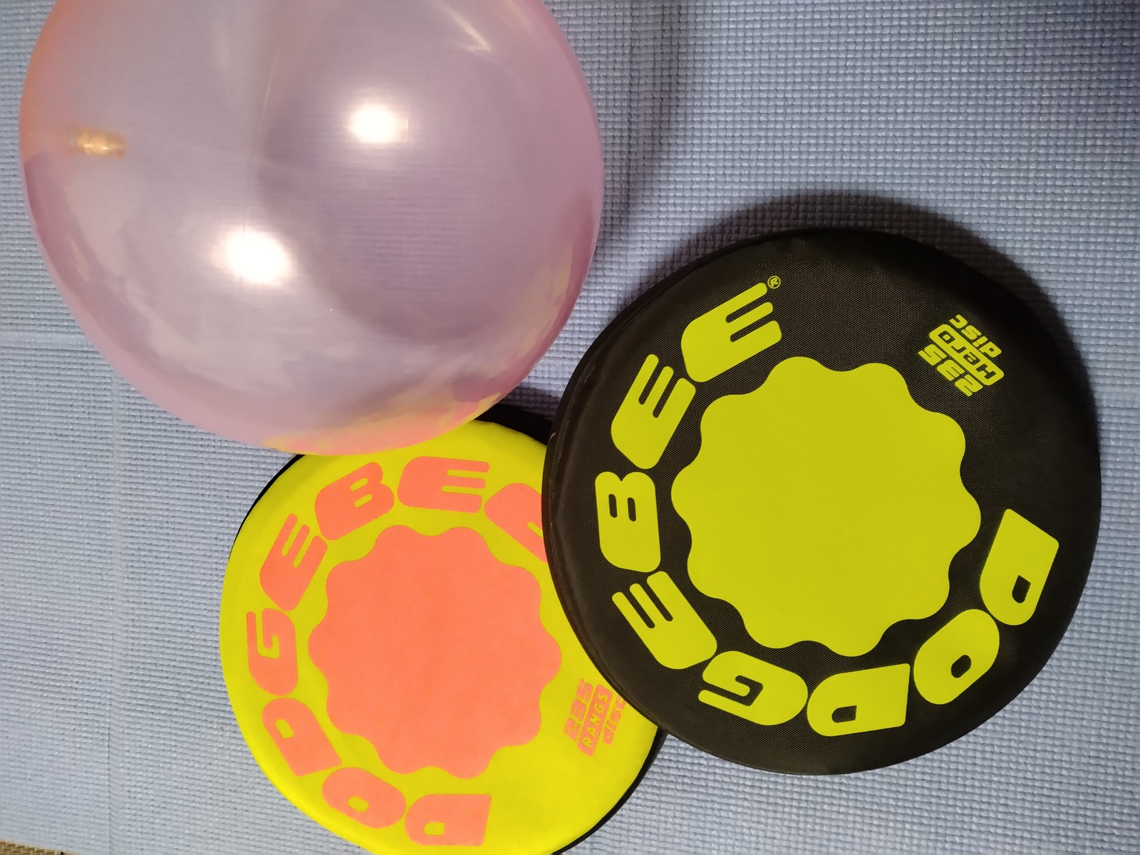 エンジョイドッチビー＆ドッチボール！