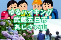 【ゆるハイキング】6月14日（土）武蔵五日市！東京の奥座敷の秘境であじさい観察！