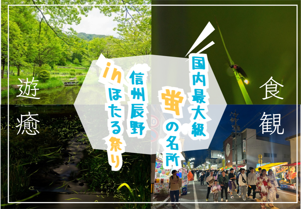 一万匹以上のホタルが乱舞する絶景の景色を見に行こう！