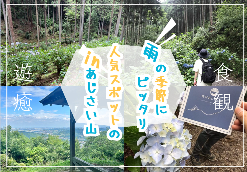 【先着早割あり】紫陽花が咲き誇る南沢あじさい山でハイキングを楽しもう！