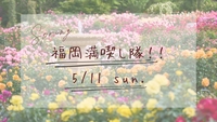 【5月11日(日)12時～】春のバラ祭り会🌹