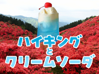 【大和葛城山】ハイキングとクリームソーダ【ヤマツツジ】