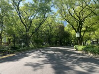 【日比谷公園】朝さんぽ と カフェトーク🚶🏻