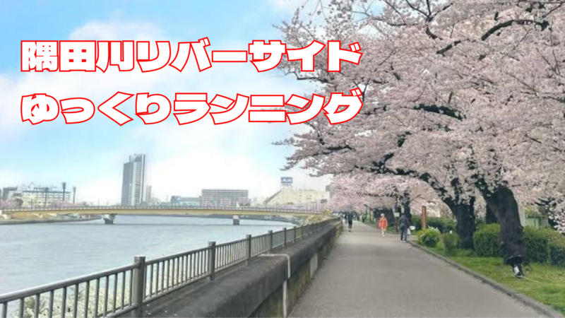 🏃‍♀️隅田川リバーサイドゆるくまったりランニング約3km🏃