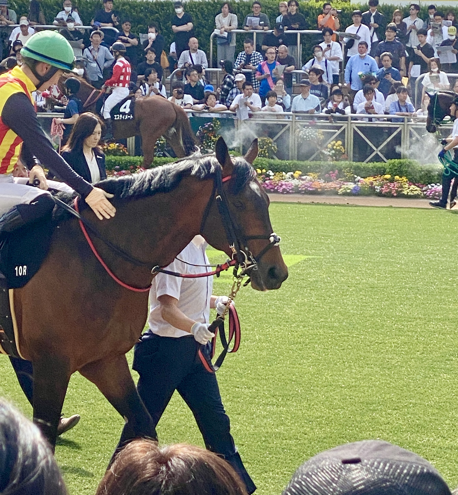 馬好きさんと東京競馬場を楽しむ会🐴🍀馬との触れ合いやホースショーも！