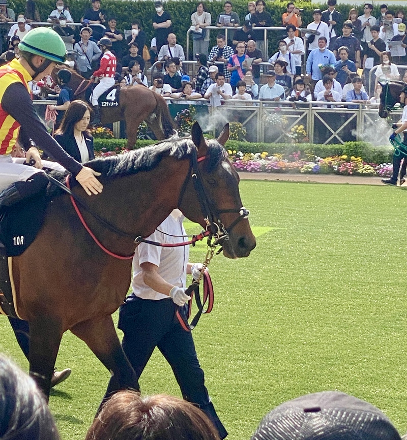 馬好きさんと東京競馬場を楽しむ会🐴🍀馬との触れ合いやホースショーも！