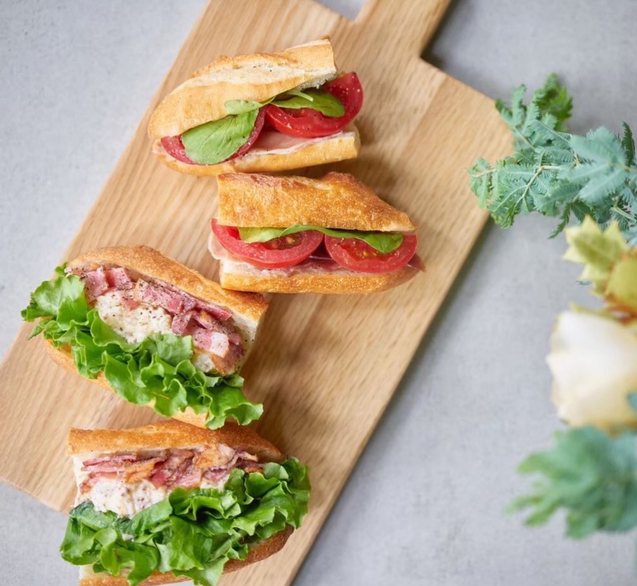 【女性主催】オシャレなカフェでパニーニと共にモーニングを楽しもう🥐✨男性も参加可能！🤎