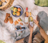 ピクニックワイン会 〜自然の中ゆったりとワインをたのしむ〜