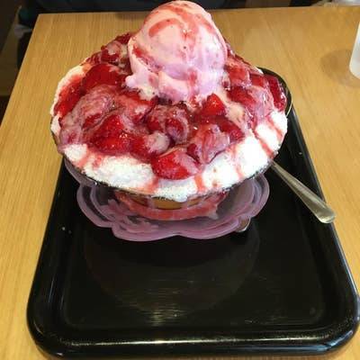 【早割中】韓国の映えるカフェに行こう！おすすめはかき氷です〜🌺🌺