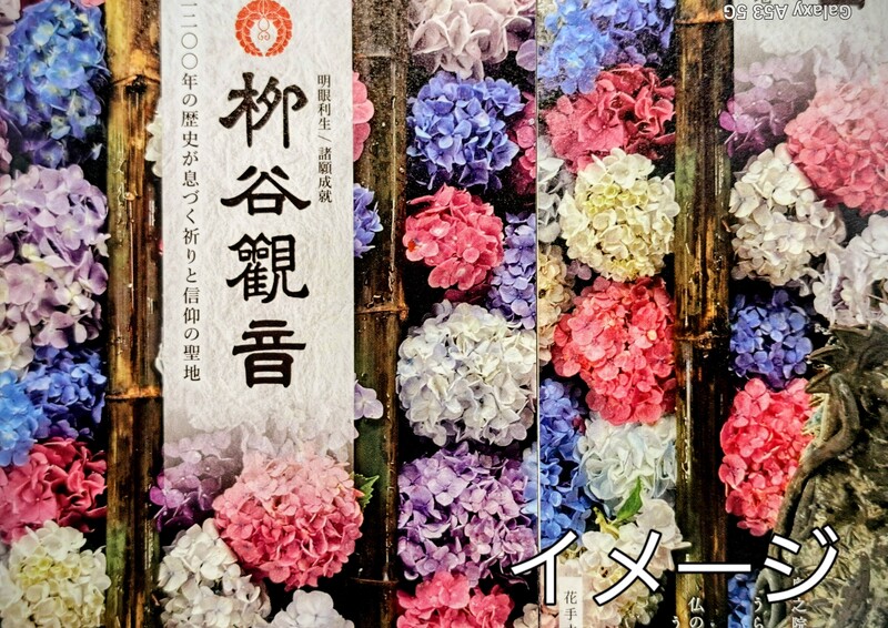 色鮮やかなあじさい寺　楊谷寺と花手水巡り