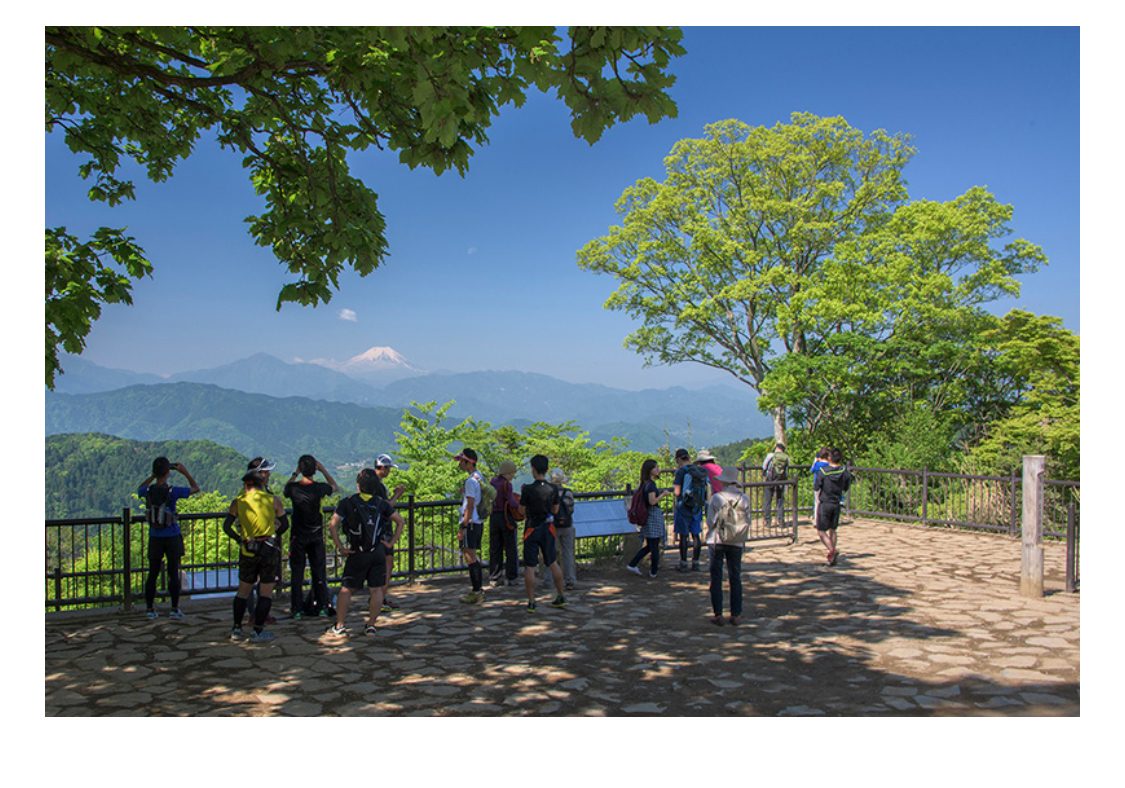 【高尾山登山⛰️×ピクニック🍱】自然満喫の楽しい一日を過ごそう🌿✨