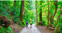 【高尾山登山⛰️×ピクニック🍱】自然満喫の楽しい一日を過ごそう🌿✨