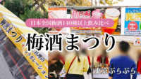 【日本全国の梅酒140種以上飲み比べ！】全国梅酒まつりin東京2025に行こう！