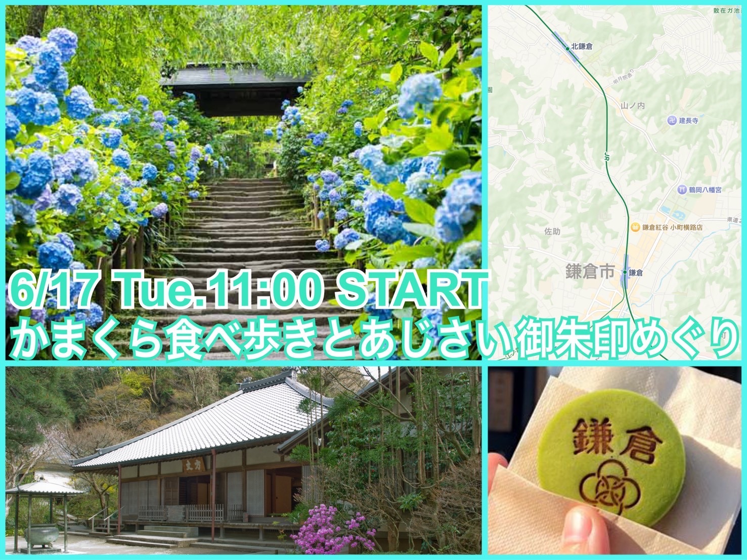 平日開催！鎌倉で食べ歩きとあじさい鑑賞＆御朱印集めをたのしもう
