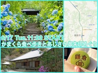 平日開催！鎌倉で食べ歩きとあじさい鑑賞＆御朱印集めをたのしもう