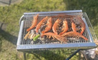【30代〜44歳迄】浜焼きBBQを楽しもうの会