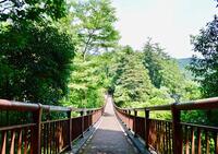 【早割中】秋川渓谷を散歩しよう✨
