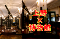 ✨解説付き【国立科学博物館】🎈常設展に行ってみよう！🐮