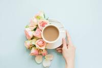 5/24(土)16:00〜既婚者女性のカフェ巡り💐ミセス会💐女性主催🌿.∘