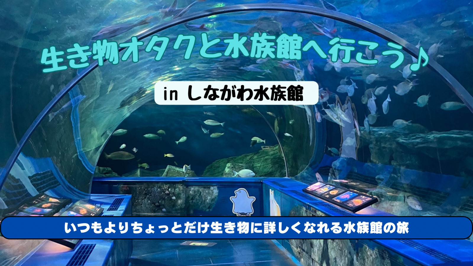 【20代主催】生き物オタクと巡る水族館🐟 いつもとは違う海の世界✨