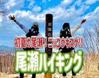 【増員中】7/20【尾瀬/深夜発】ニッコウキスゲを観に日帰りで尾瀬に行こう！