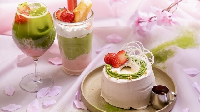 【飲むチーズケーキ】新感覚スイーツを食べに行きましょう🍰✨